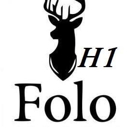 New Collection FOLO